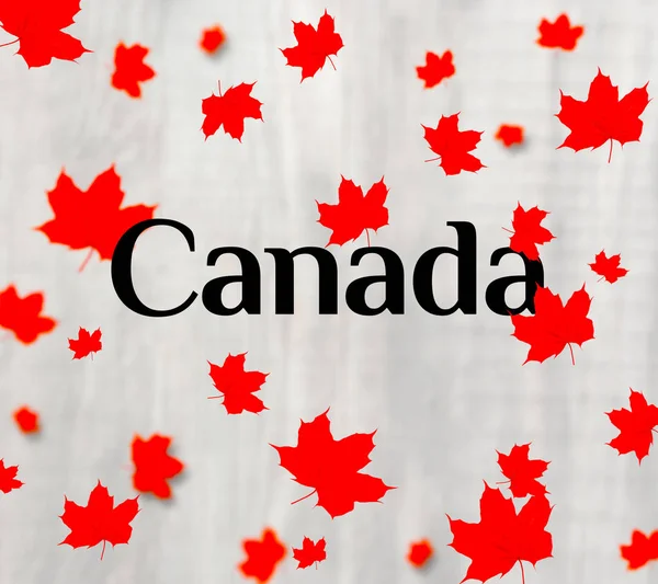 Canada logo maple leaf Love Canada
