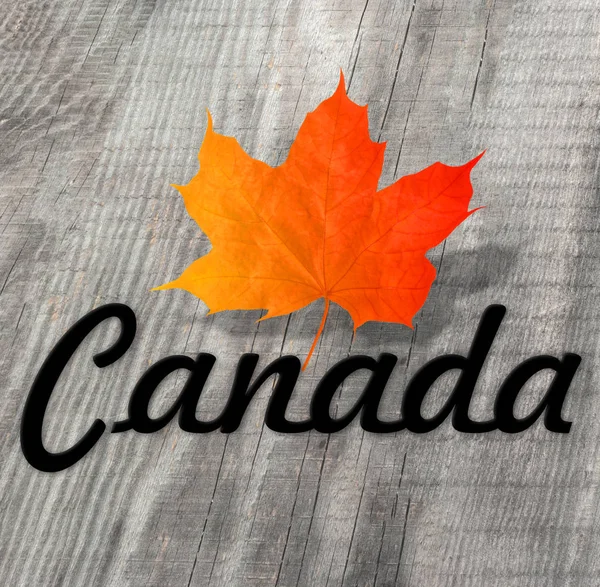 Canadá logotipo folha de bordo Amor Canadá — Fotografia de Stock
