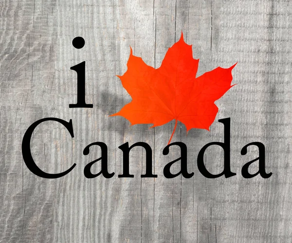 Canadá logo maple leaf Love Canada —  Fotos de Stock