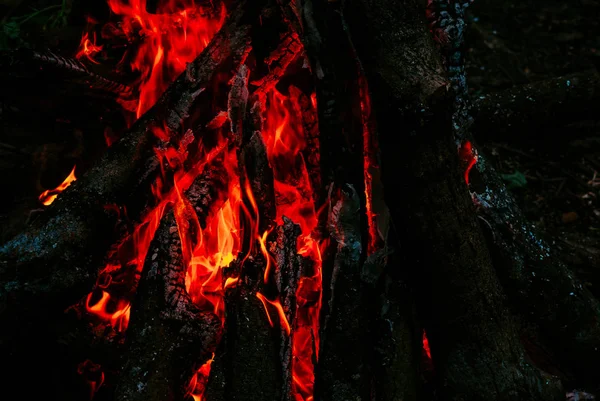 Fuego, turismo, en el bosque. Fuego rojo, corrección tonal — Foto de Stock