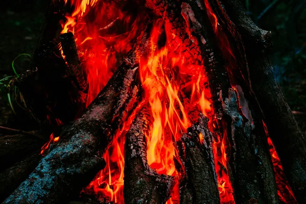 Пожар, туризм, в лесу. Красный огонь, тональная коррекция — стоковое фото