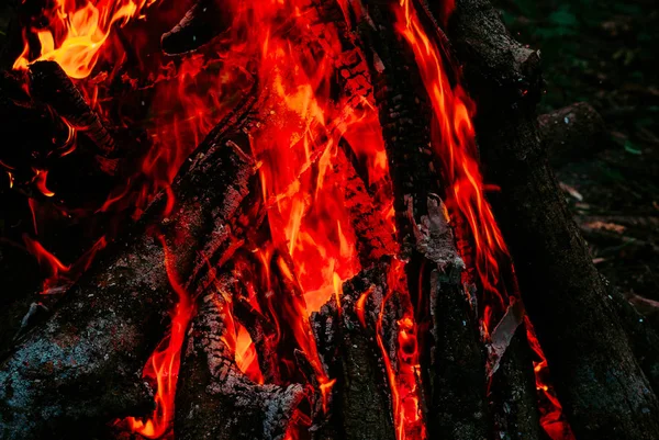 Fuego, turismo, en el bosque. Fuego rojo, corrección tonal — Foto de Stock