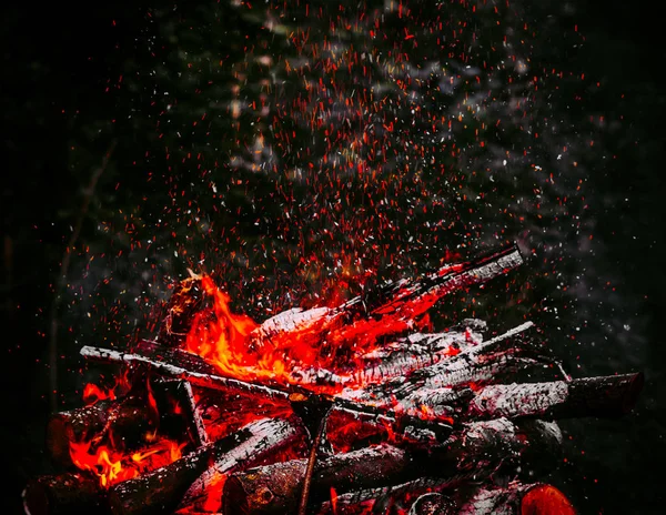 Φωτιά στο δάσος στη φύση. Ίχνη των σπινθήρων. Τονικό correcti — Φωτογραφία Αρχείου