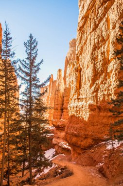 Bryce Canyon Kızıl-sarı kayalarda. Dağ massi Panoraması