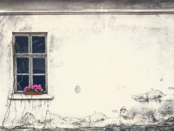 Старе Вікно Покинутому Будинку Квітами Підвіконні — стокове фото