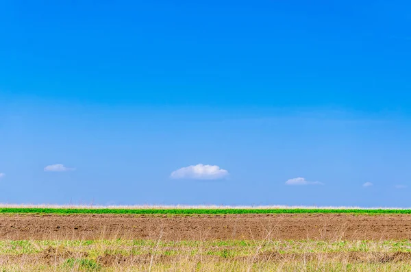 Landscape earth, grass, sky, small cloud