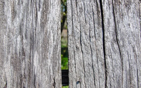 Gray old wooden planks, fence. Vintage background — Stock Photo, Image