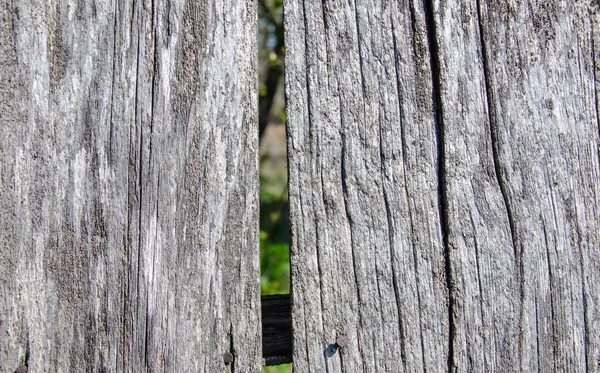 Gris vieilles planches en bois, clôture. Fond vintage — Photo