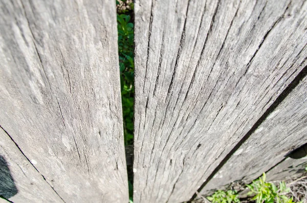 Grå gamla träplankor, staket. Vintage bakgrund — Stockfoto