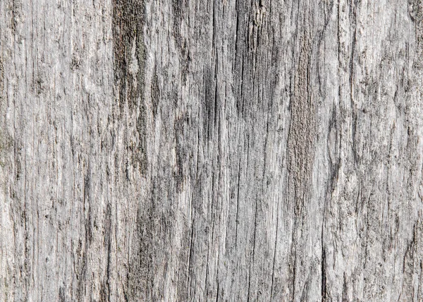 Gray old wooden planks, fence. Vintage background — Stock Photo, Image