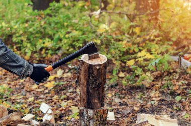 Adamın elinde endüstriyel bir balta var. Balta ellerde. Güçlü bir adam elinde baltayla ormanın arka planında odun tutar. Elinde balta olan bir oduncu.