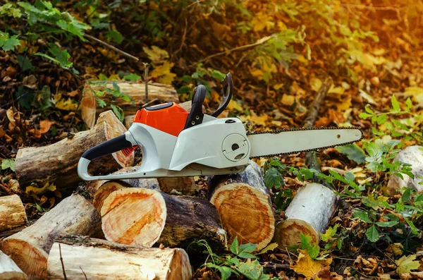 Elektro-Motorsäge im Wald liegt auf gefällten Baumstämmen — Stockfoto