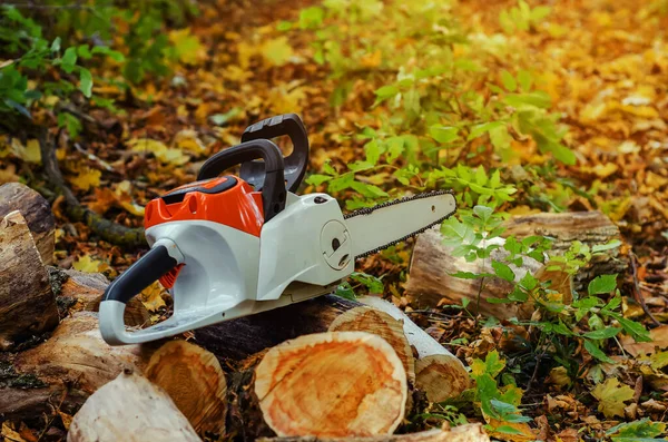 Elektro-Motorsäge im Wald liegt auf gefällten Baumstämmen — Stockfoto