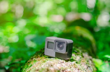 Ormandaki bir kütükteki aksiyon kamerası.