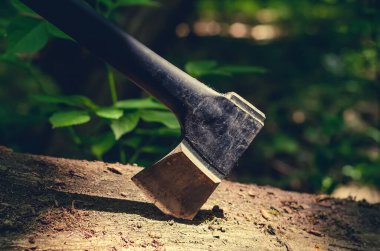 Ormandaki bir ağaca saplanmış turuncu saplı balta.