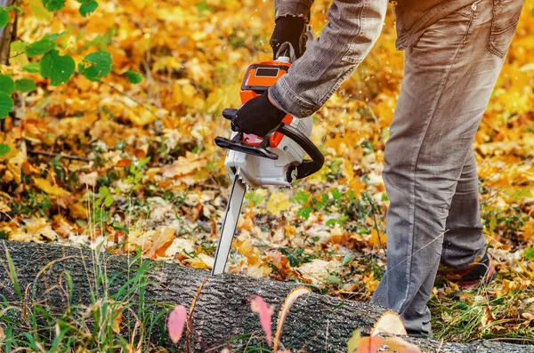 Uomo con una motosega nella foresta a segare legna da ardere abbattuta — Foto Stock