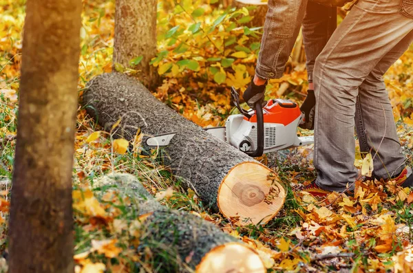 Man met kettingzaag in het bos gekapt brandhout zagen — Stockfoto