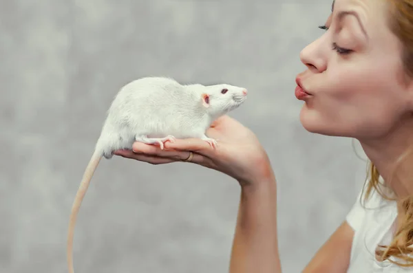 Woman holds a white rat in her palm. — Stock Photo, Image