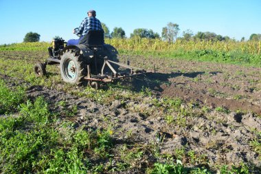 Patates tarlayı eski vintage Çiftçi traktör. 