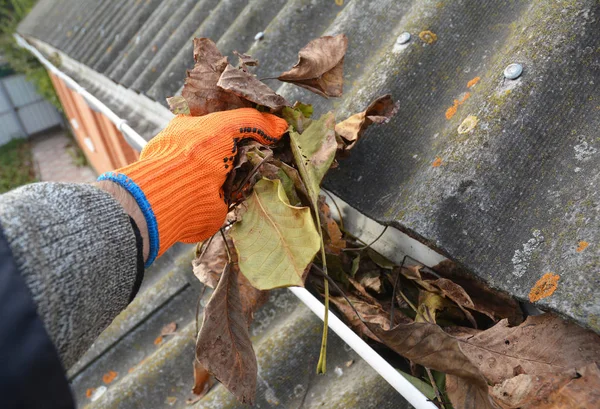 Worker Hand  Cleaning Rain Gutter from Leaves