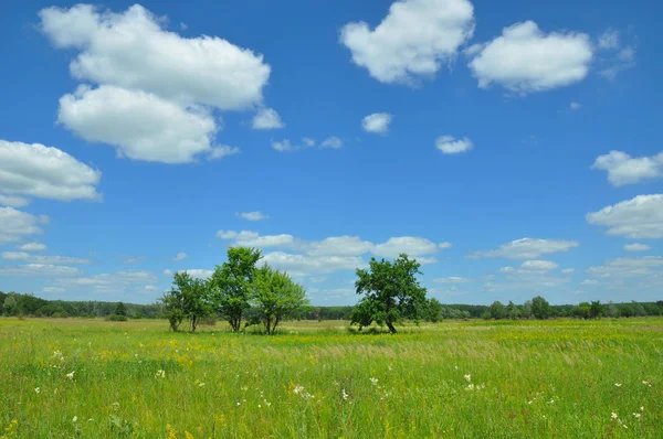 Klimaatverandering Opwarming Weide Landschap — Stockfoto