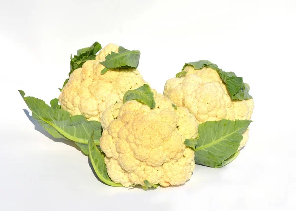 Cauliflower.  Raw cauliflower isolated on white background — Stock Photo, Image