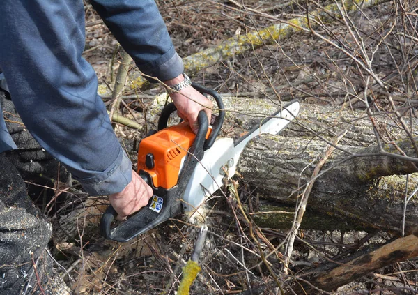 Arbetare med bensin motorsåg i skogen. Träd skära Saw. Man med bensin bensin motorsåg träd skära utomhus. — Stockfoto
