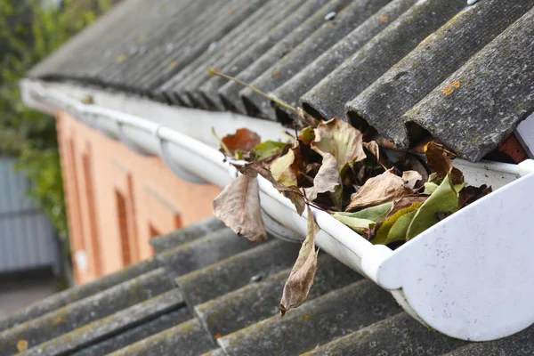 Rain Gutters Cleaning from Leaves. Guttering works. — Stock Photo, Image