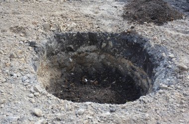 Organik gübreleme kazma delik kompost ağaç. Ağaç dikimi için organik gübre. 