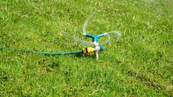 Lawn sprinkler spaying water over green grass with water hose. Irrigation system