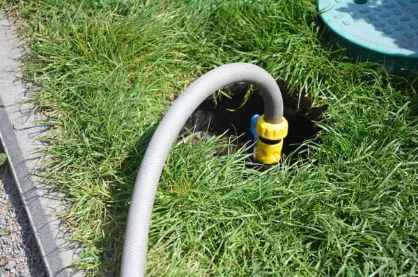 Water hose. Closeup on a sprinkler attached to a hose watering the grass yard. Garden irrigation system sprinkler detail for watering lawn.