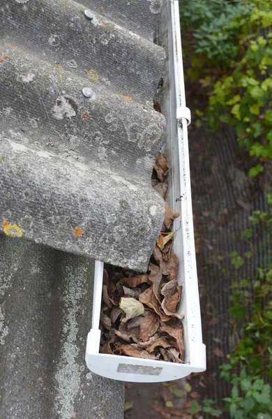 Close-up op de bladeren en vuil in de Gootset. — Stockfoto