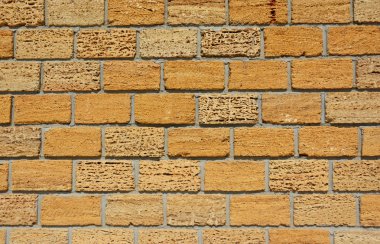 Coquina veya Shelly Limestone duvar dokulu arka plan.