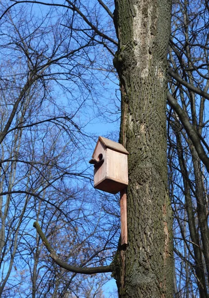 Trä fågel hus, häckande box på trädet. — Stockfoto