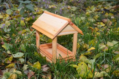 Ahşap kuş besleyici. Ağaç evi besleme kuşlar için.