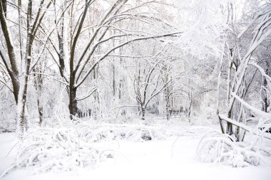 Bir soğuk hava 'bomba cyclone' nın doğu kıyısında taşıyan