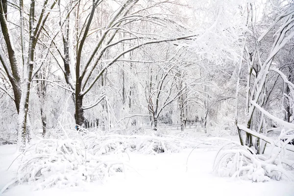 Bir soğuk hava 'bomba cyclone' nın doğu kıyısında taşıyan