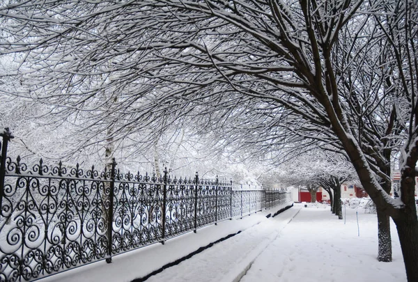 Snow Covered Pathway Winter Snow Covered Pathway Trees — Stock Photo, Image