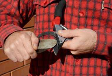 Budama makası mükemmel kesim için keskinleştirmek. Temizlik ve Bahçe keskinleştirme bahçıvan 