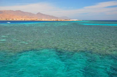 Sina kıyı şeridi Kızıldeniz Coral reef görüntüleyin.