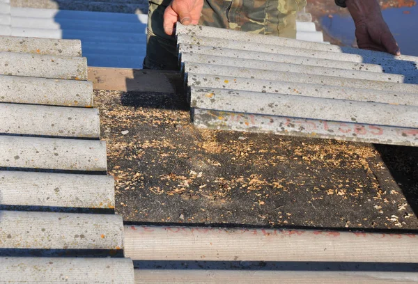 Old and danger asbestos removal. Roofers replace damaged asbestos tile. Repair asbestos roof.