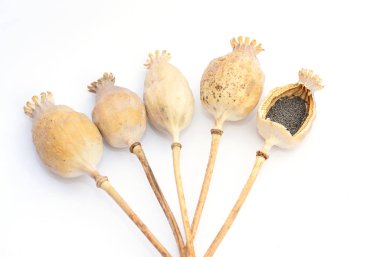 Haşhaş tohumu beyaz arka plan üzerinde izole yığını ile kurutulmuş haşhaş başkanları