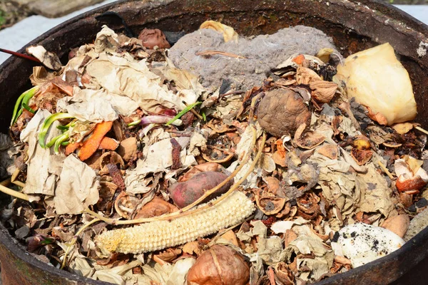 Compost Bin with Food Scraps.