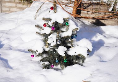 House Garden 'daki Noel Ağacı. Mavi ladin kaplı kar renkli Noel Baloları Dekorasyonu. 