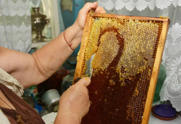 Apicultor extrayendo miel fresca artesanal de un panal con una herramienta de cuchillo . —  Fotos de Stock