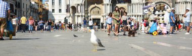 Venedik, İtalya - 10 Kasım 2019 - Venedik 'teki Aziz Mark Bazilikası ile San Marco Meydanı' nda panoramik manzara