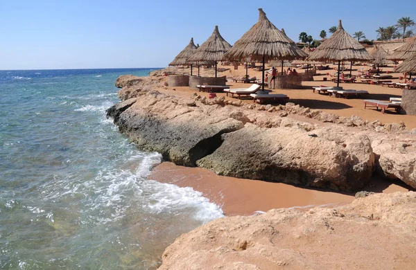 Ombrelloni in spiaggia con ombrelloni in paglia e lettini in legno sulla spiaggia della costa del Mar Rosso . — Foto Stock