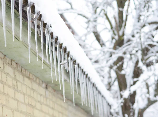 Bellissimi ghiaccioli sul vecchio tetto di amianto in inverno gelido — Foto Stock