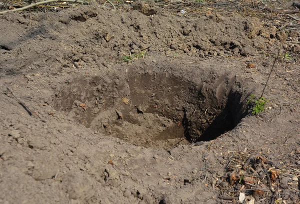 Ik plant een gat. Voorbereiding van het aanplantingsgat en bodemverbetering — Stockfoto