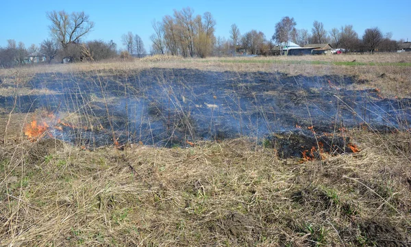 Erba Che Brucia Togliendo Paglia Con Fuoco — Foto Stock